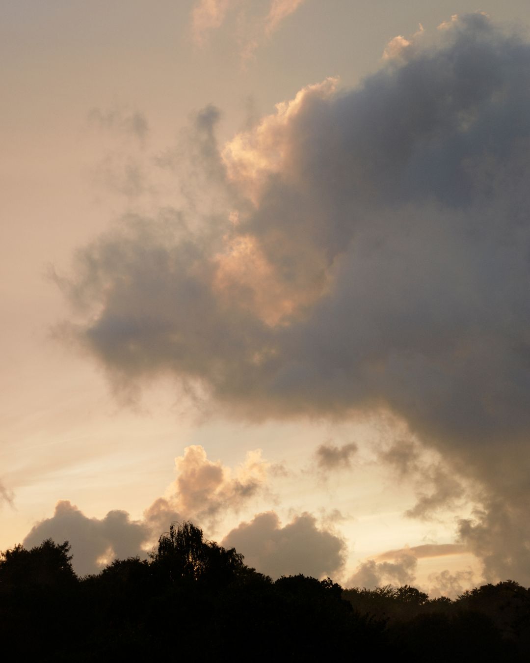 Schlafe süß in der Sommernacht – ganz ohne Hausstaubmilben!