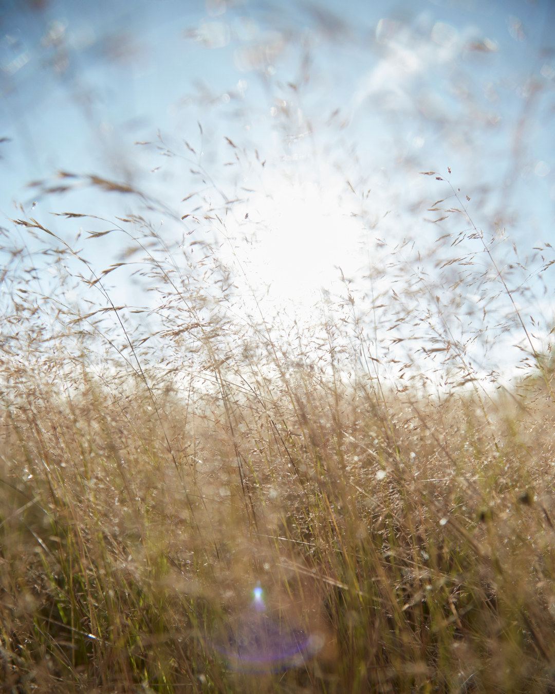 Die Technologie unterstützt deinen Schlaf