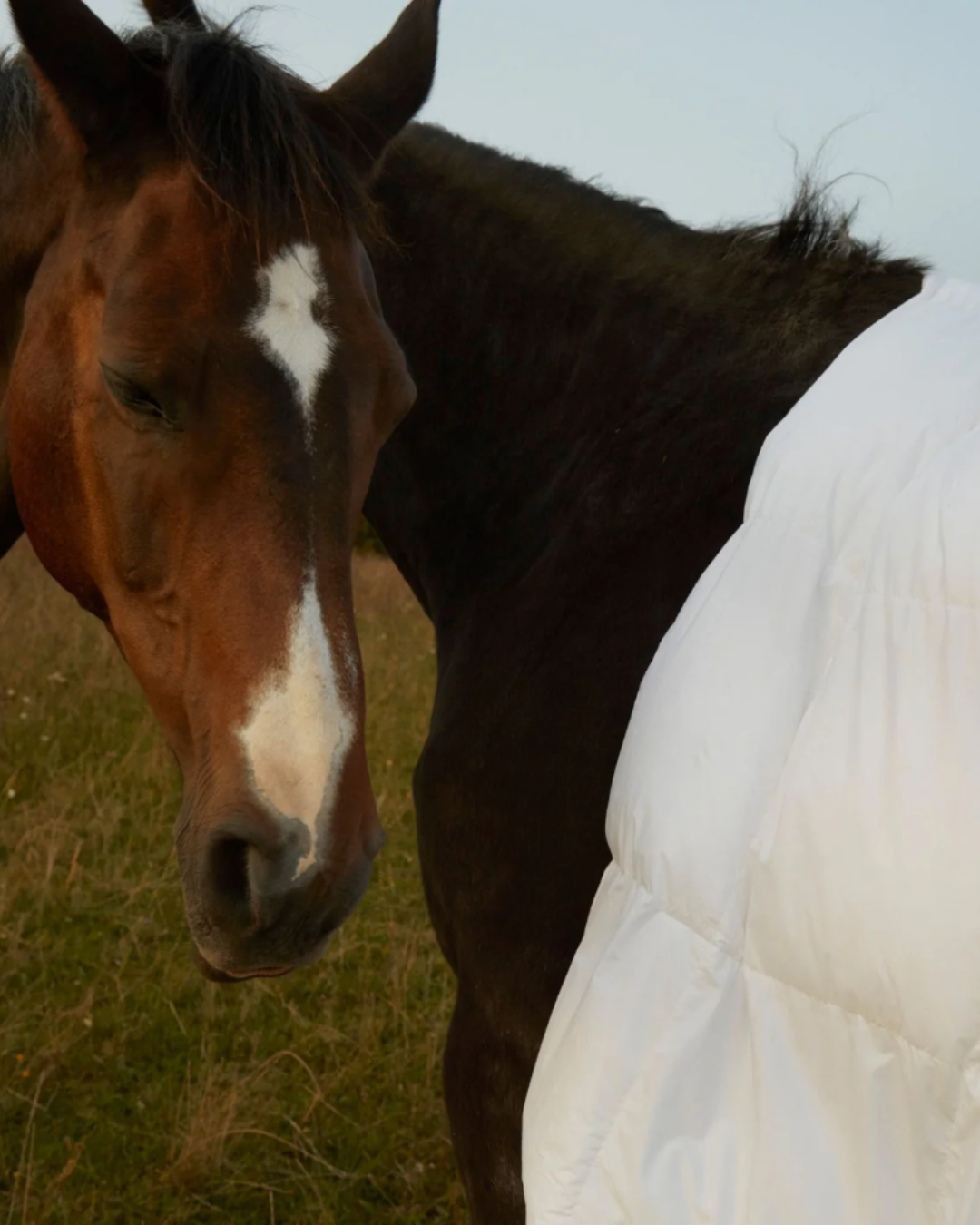 Der Weg zu einem verantwortungsvollen und transparenten Unternehmen