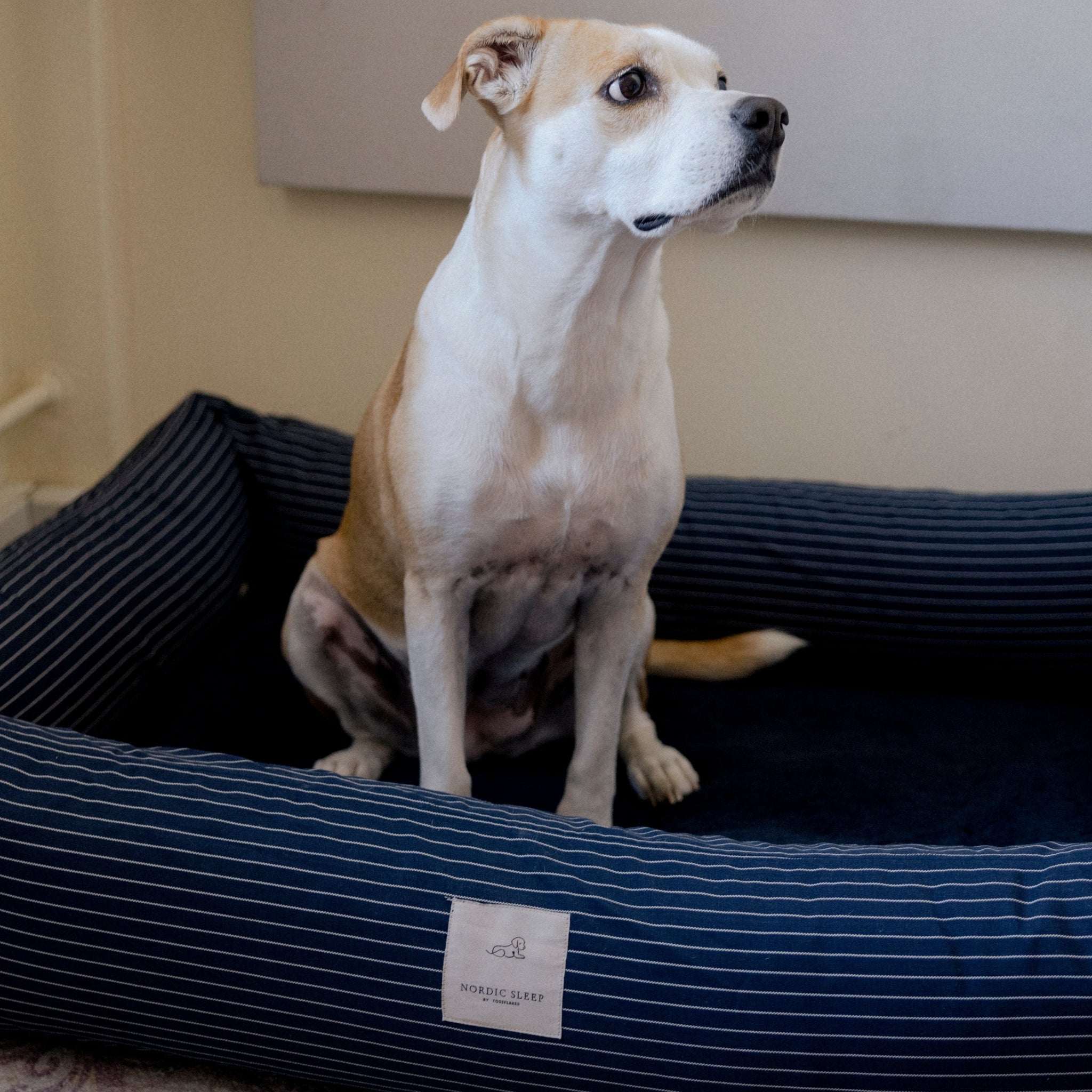 Nordic Sleep x Siccaro Hundebett - Navy Pinstripe - M