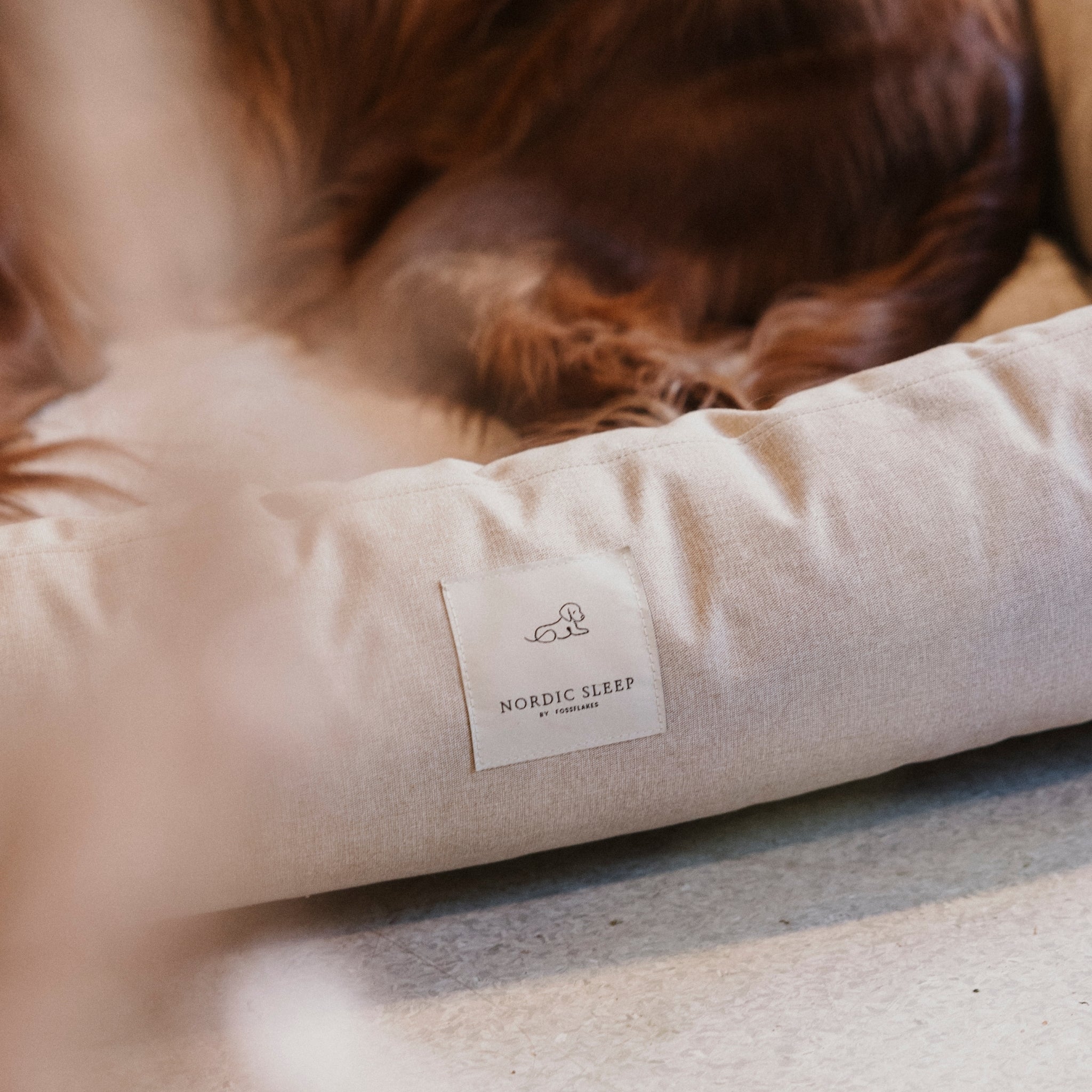 Nordic Sleep x Siccaro Hundebett - Sand/Beige - M