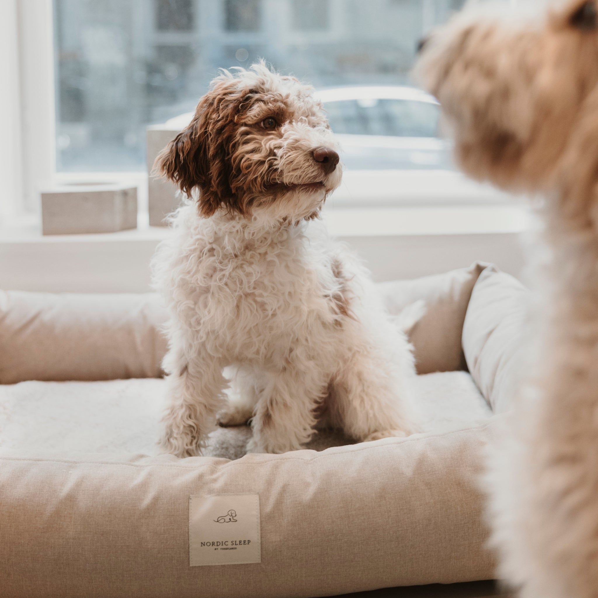Nordic Sleep x Siccaro Hundebett - Sand/Beige - M