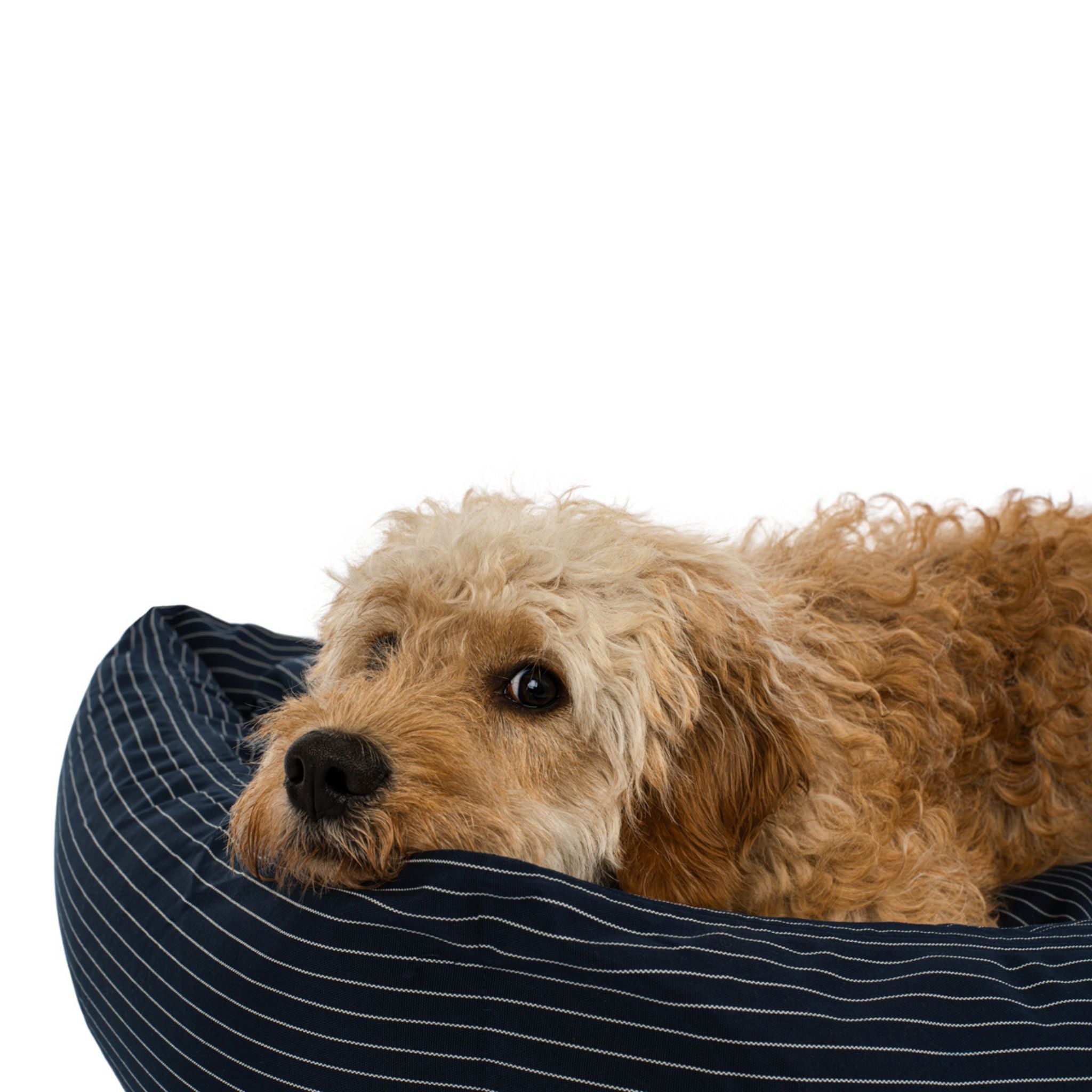 Hundebett Navy pinstripe Medium