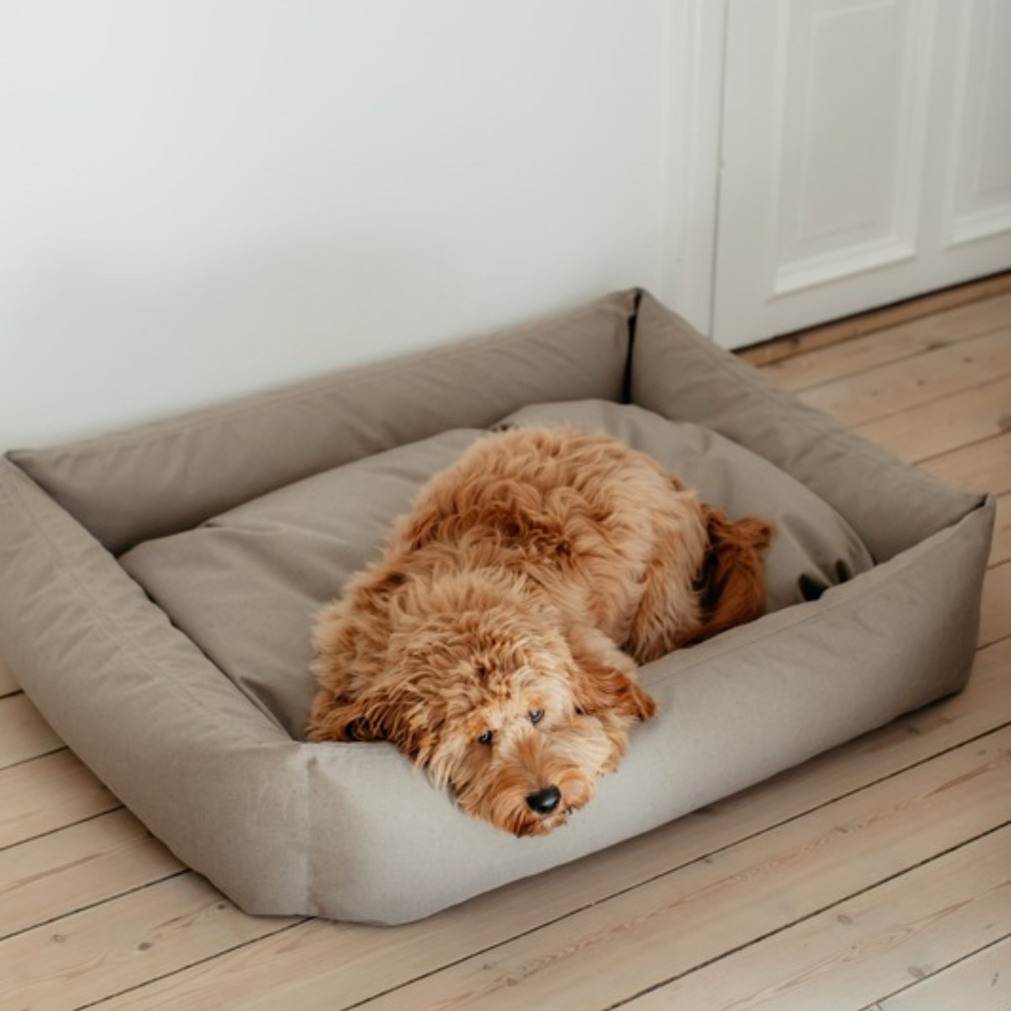 Hundebett Khaki Medium