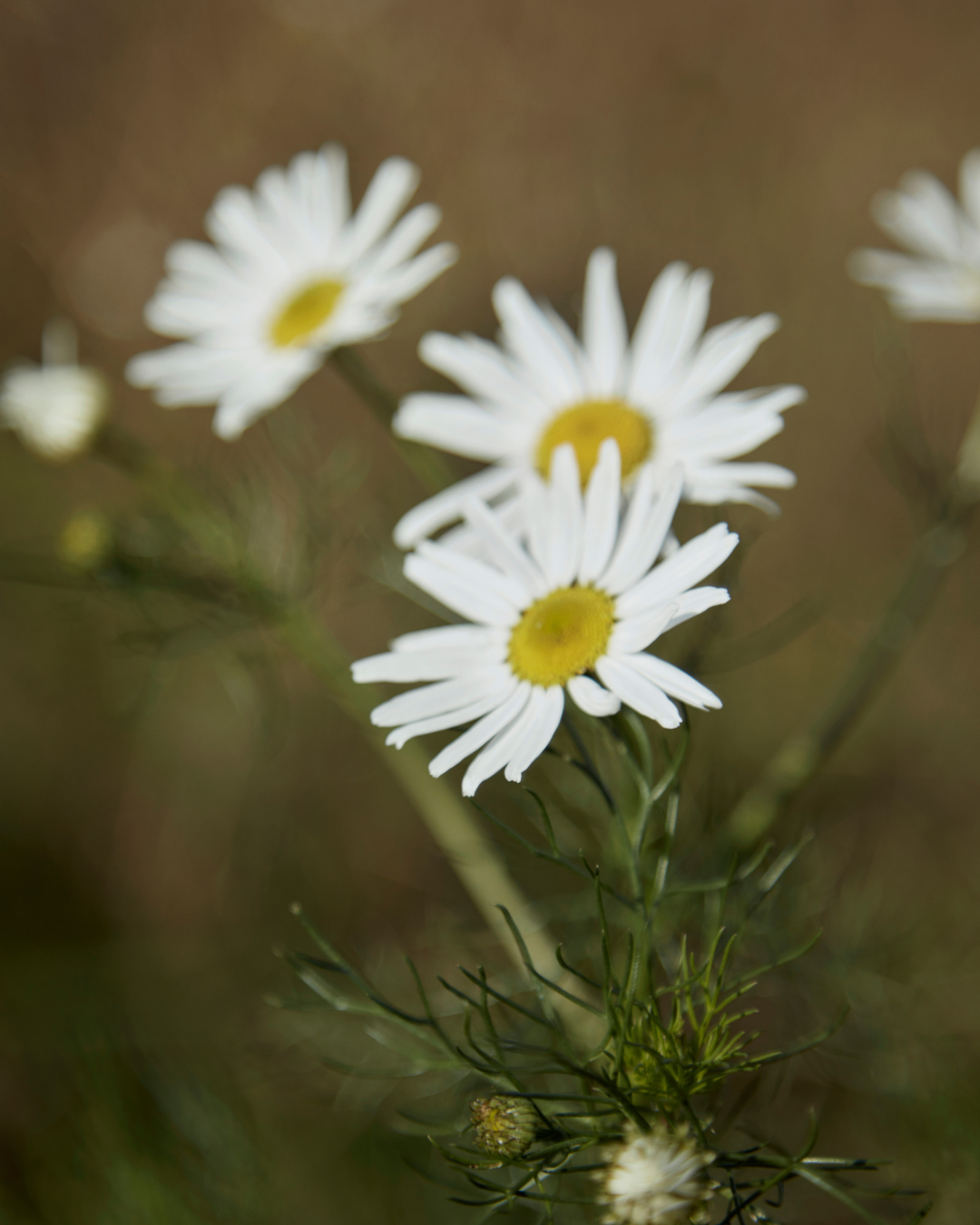 Ein attraktiver Arbeitsplatz