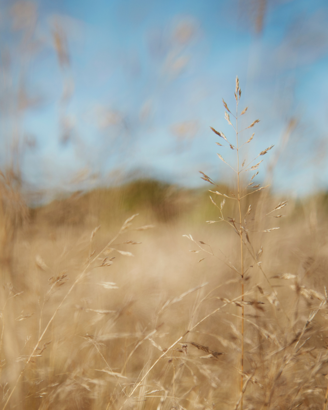 Weniger belastende Produktion