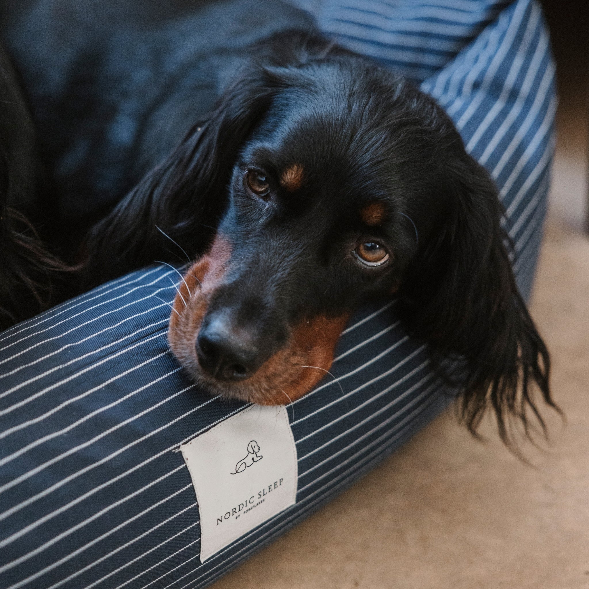 Nordic Sleep x Siccaro Hundebett - Navy Pinstripe - M