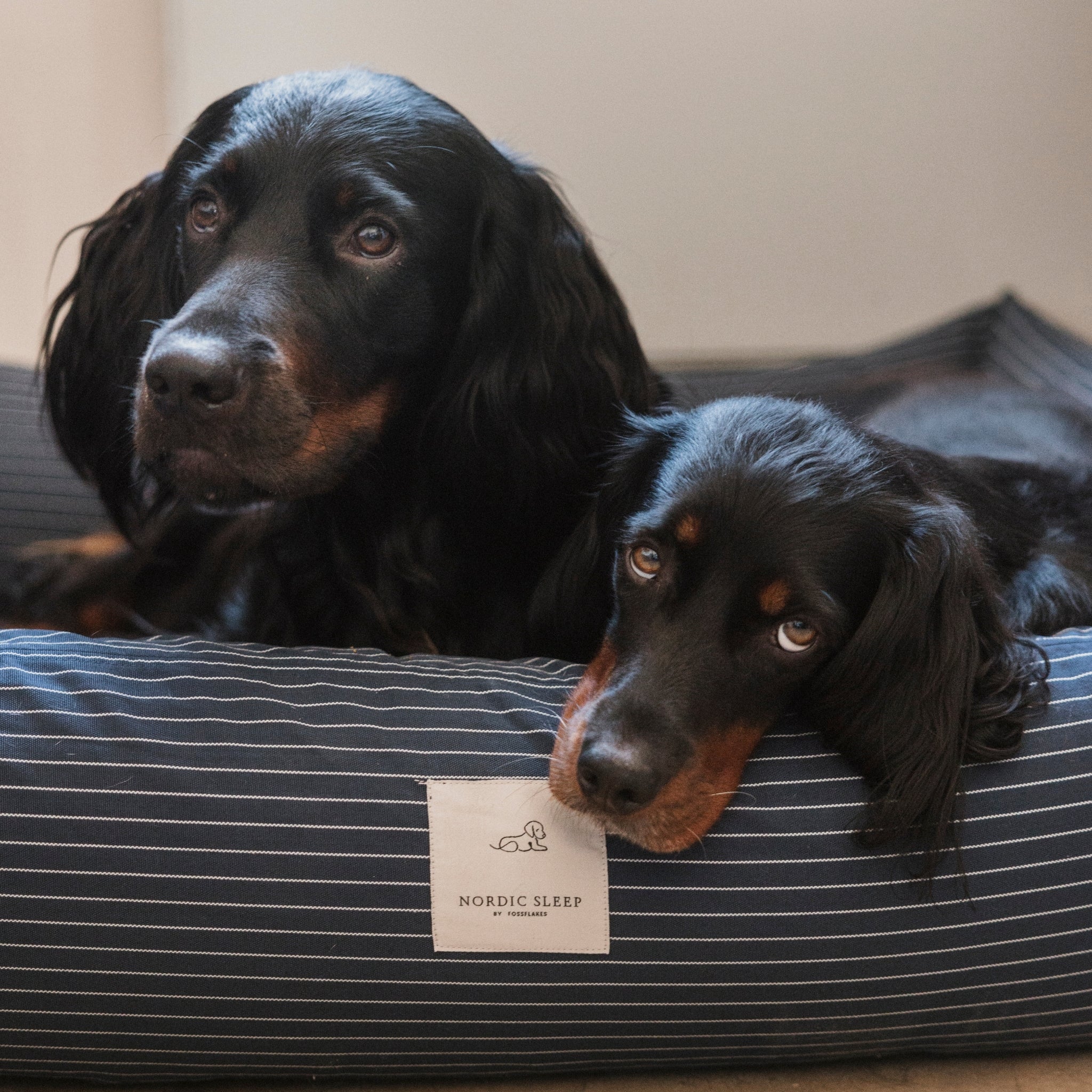 Nordic Sleep x Siccaro Hundebett - Navy Pinstripe - M