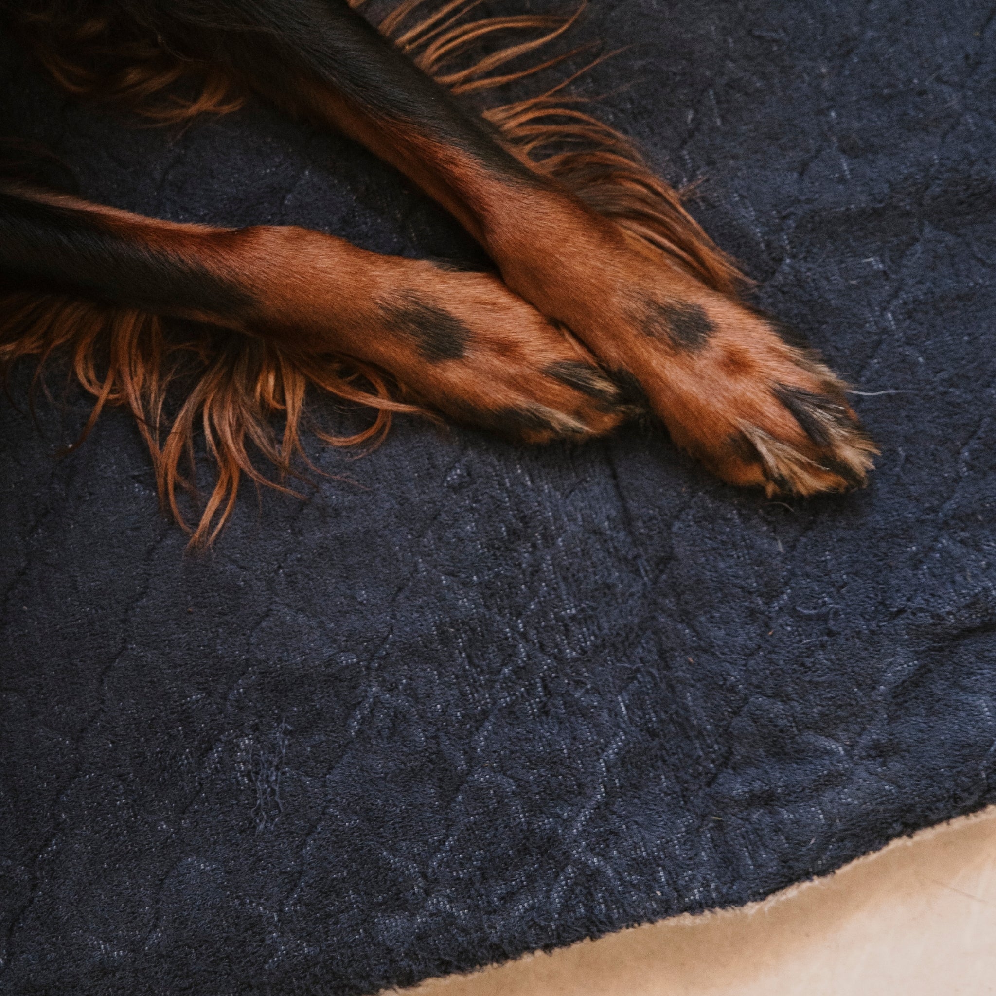 Nordic Sleep x Siccaro Hundebett - Navy Pinstripe - M