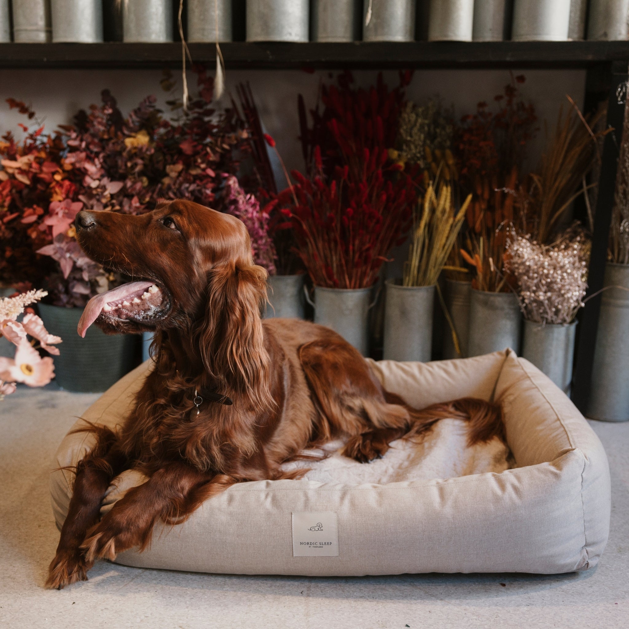 Nordic Sleep x Siccaro Hundebett - Sand/Beige - M