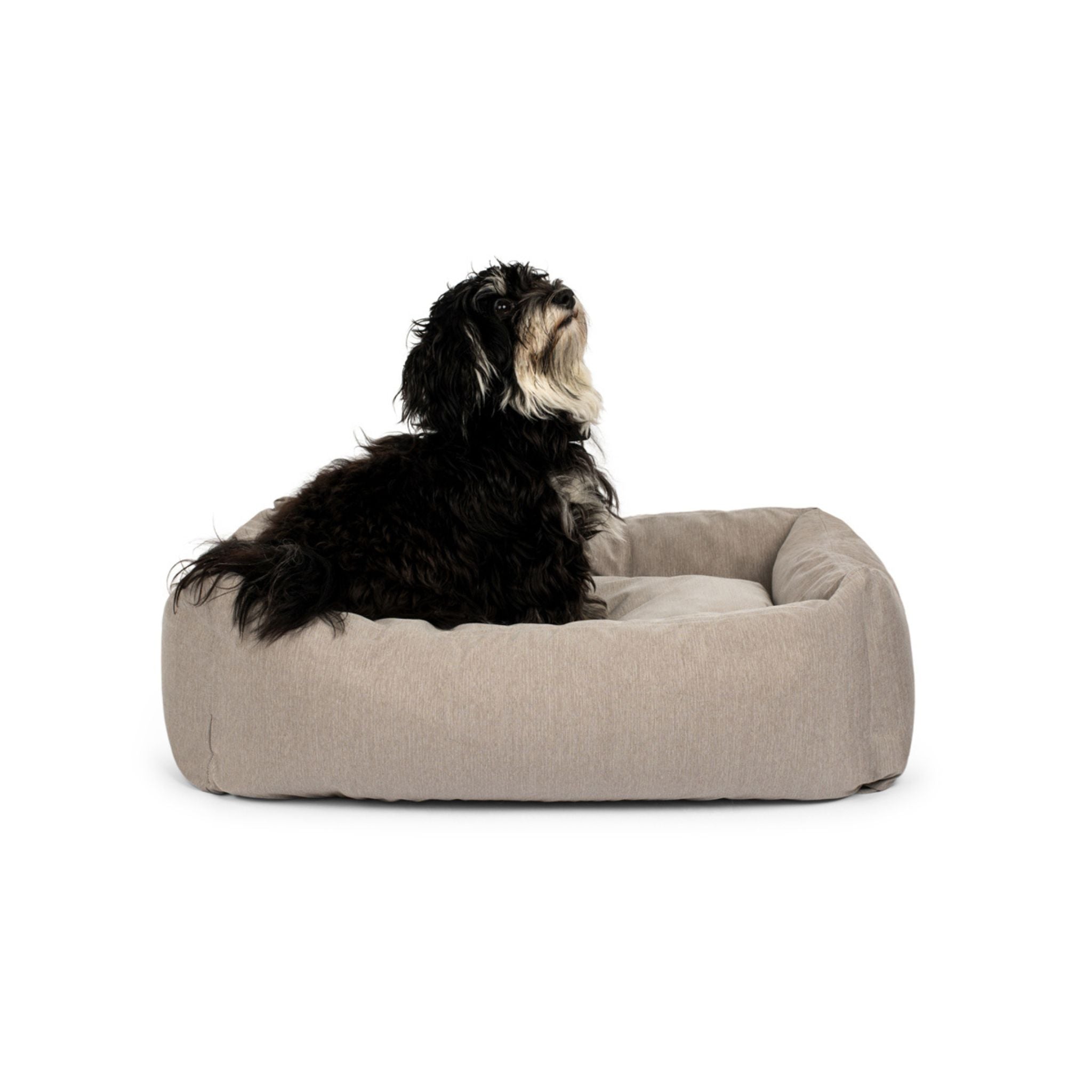 Hundebett Soft Grey Small - 50x70